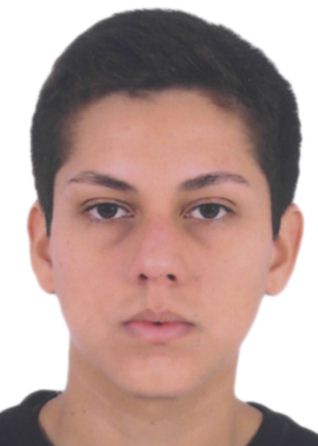 Sebastian Alejandro Loayza Auris