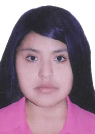 Susan adelma puma diaz