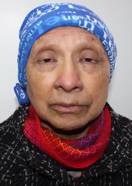 Teresa huari gamarra