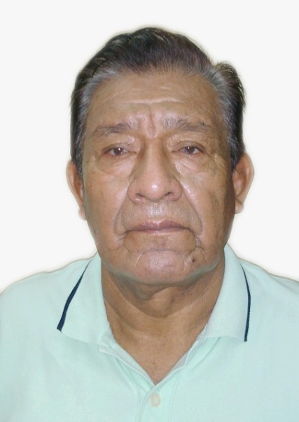 Victor Hugo Benites Pazos