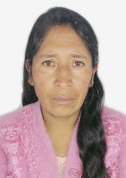 Vilma taipe lanazca
