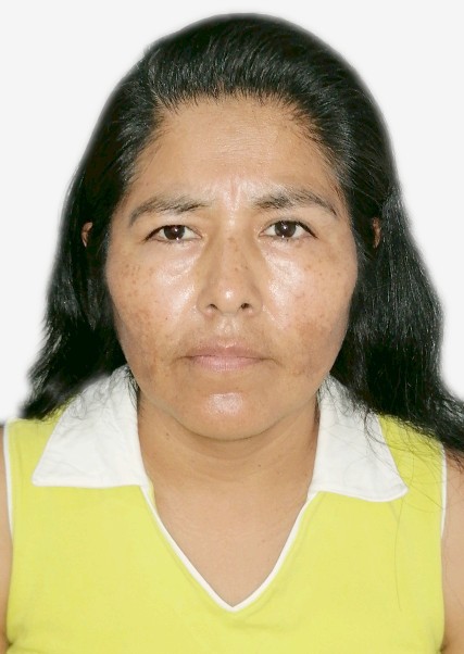 Vilma Yabar Collatupa