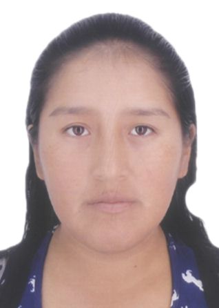 Virney Llanos Choquecota