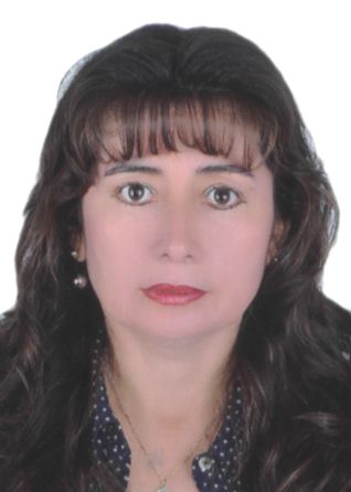 Yessenia carol nuÑez tejada