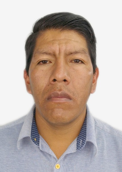 Yonel castro llamoca