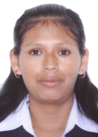 Yudi huallanca ccasani