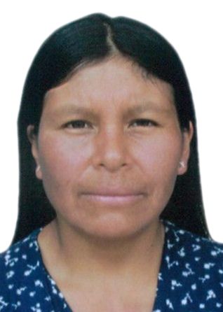 Zenaida apumayta sedano