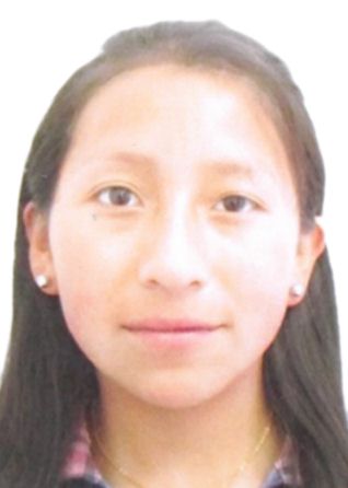 Zonaly Gueiser Quispe Saire