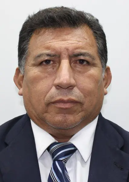 ELMER