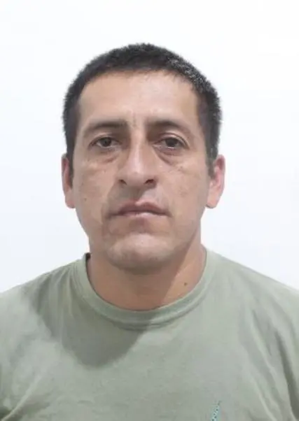 ELFER