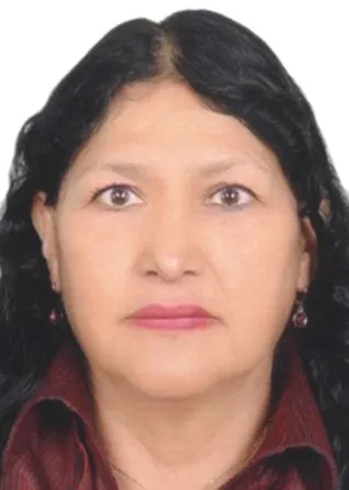 VILMA