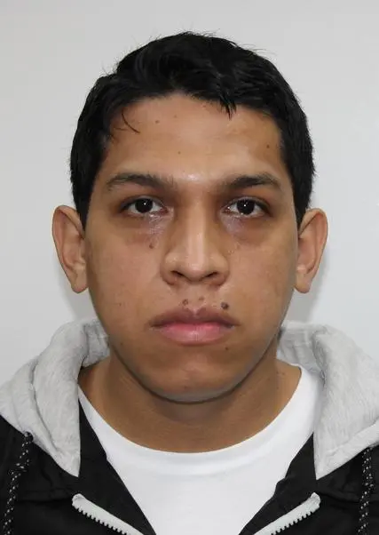 ALBER ALEXIS